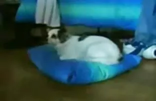 XXX दंपति ने अपने घर का बना अश्लील हटाने का फैसला किया