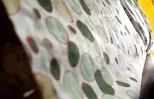 XXX भयानक बेब पुरुष कास्टिंग करता है