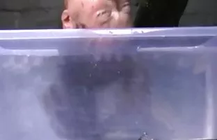 XXX एक फूहड़ श्यामला के साथ उन्मत्त मनोरंजन का एक सत्र