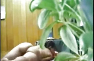 XXX आने के लिए हेरमफ्रोडाइट लाया