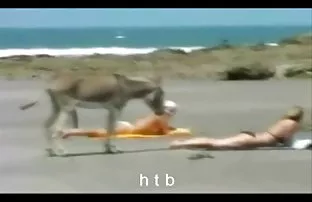 XXX चोदता रहता है