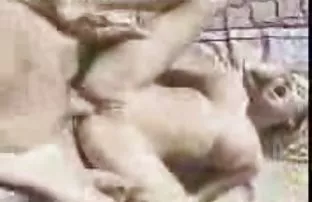 XXX श्यामला बुलबुल को पकड़ लेती है